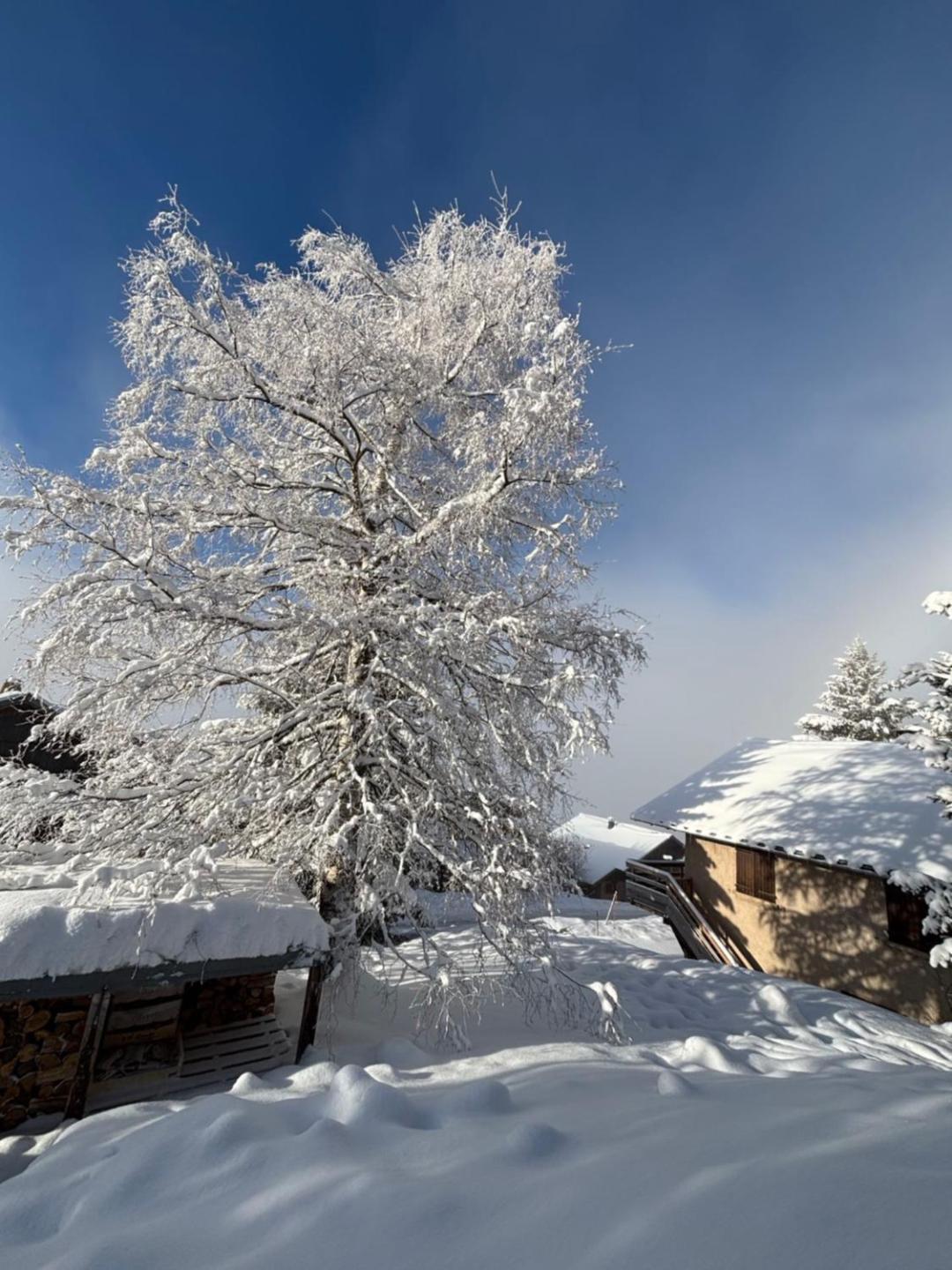 Villard-Reculas Chalet Rouge Ou Blanc מראה חיצוני תמונה